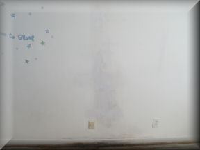 mold growth visible staining